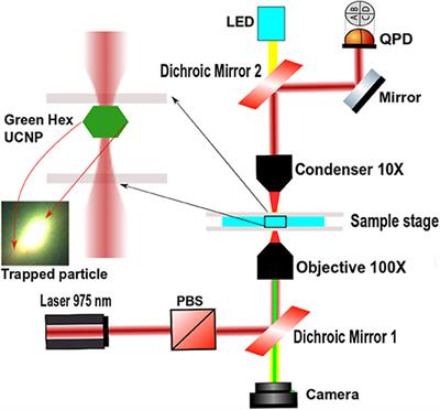 Trapped in Out-of-Equilibrium Stationary State: Hot Brownian Motion in Optically Trapped Upconverting Nanoparticles